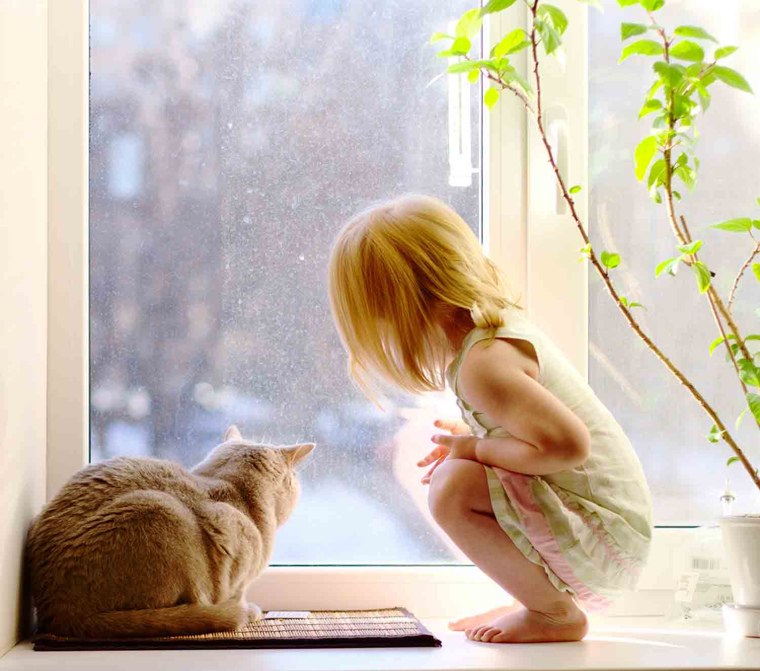 Little Girl and Cat