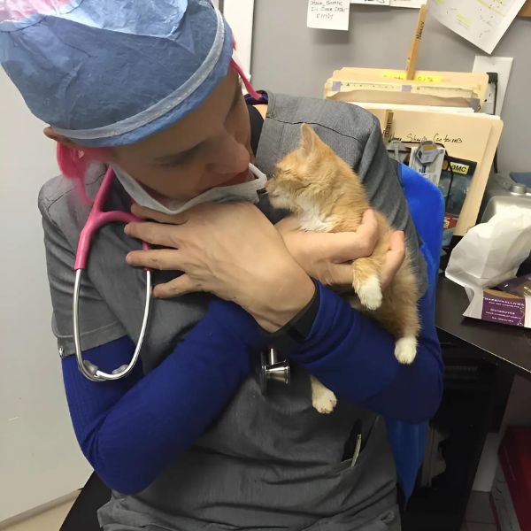 Vet holding a kitten and petting it