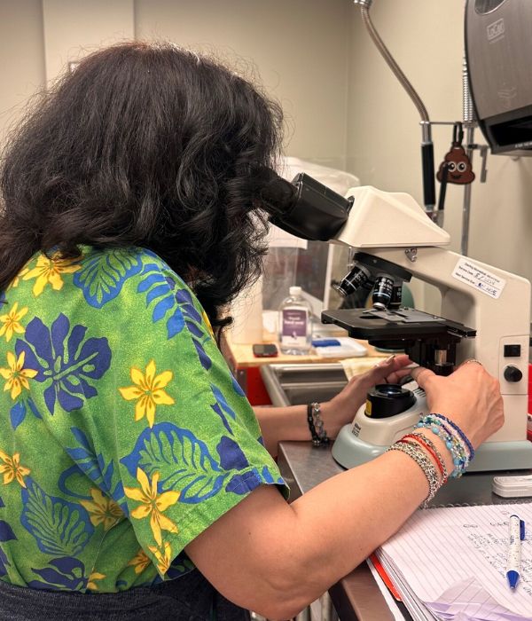 Vet testing sample through microscope