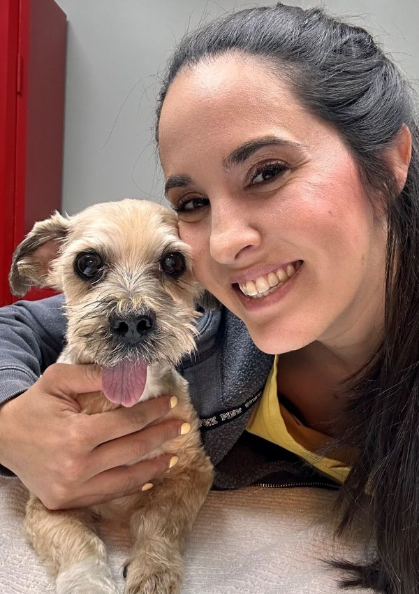 A vet holding a small dog close to her