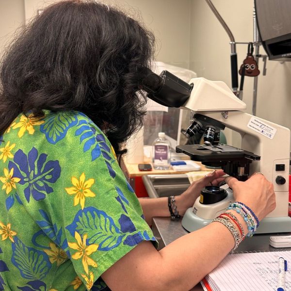 Vet testing sample through microscope