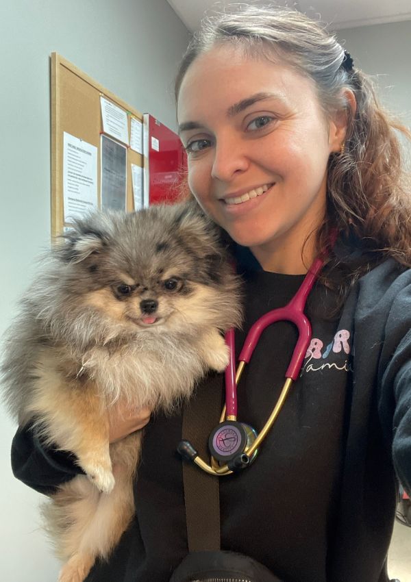 A vet holding a dog 