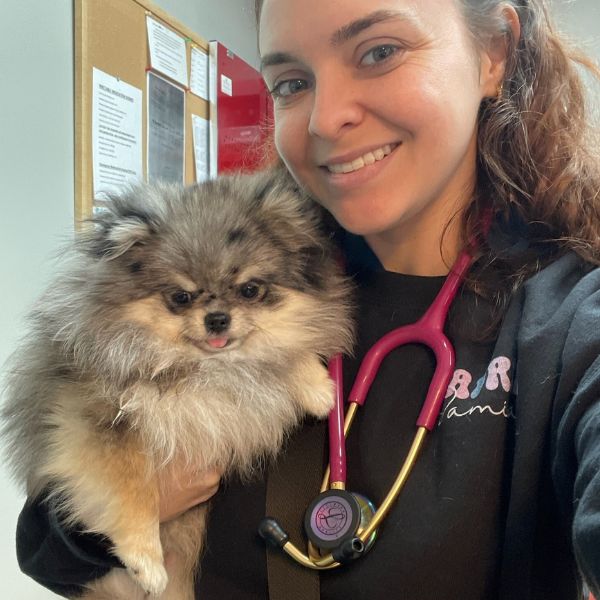 A lady vet holding a dog