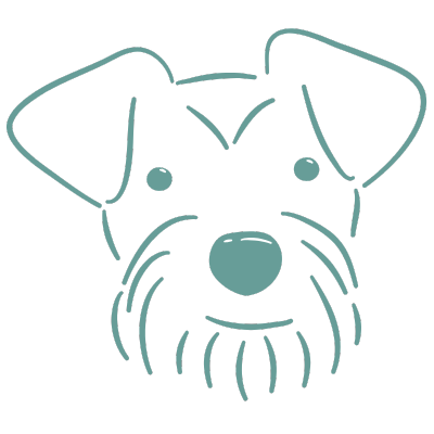 dog icon