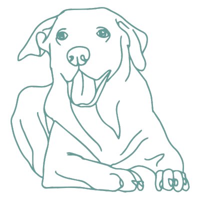 dog icon