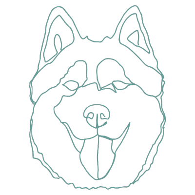 dog icon