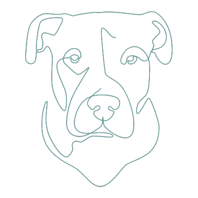 dog icon